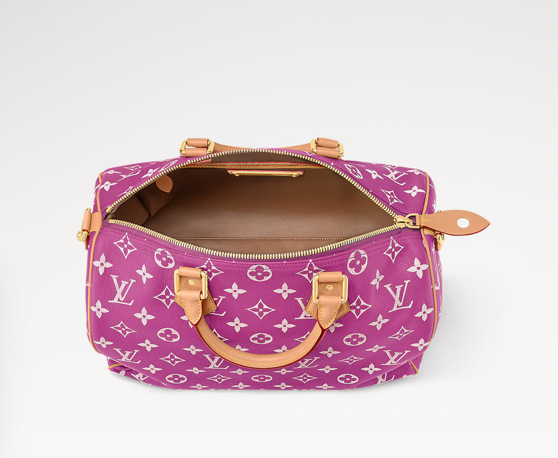 Speedy LV Bag