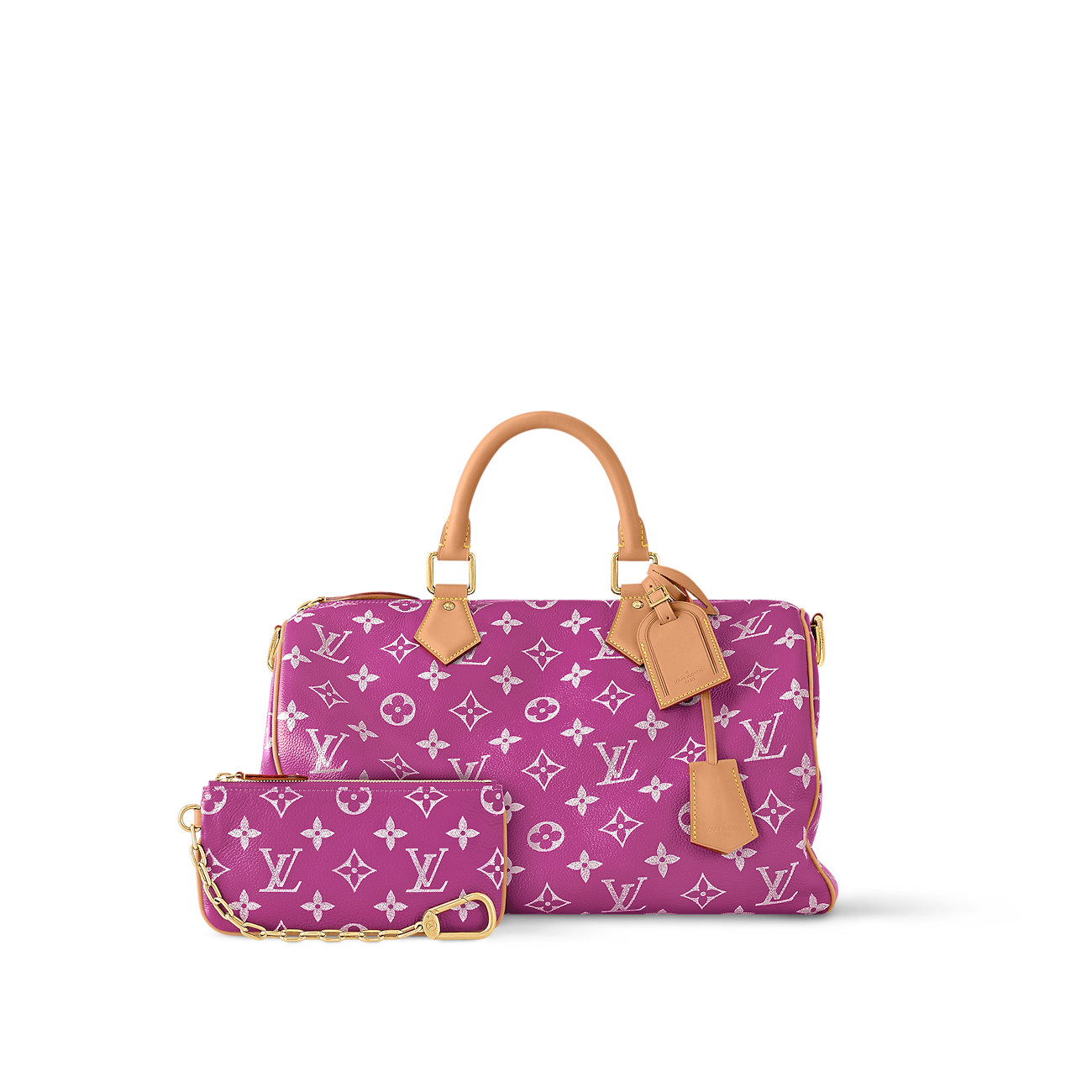 Speedy LV Bag