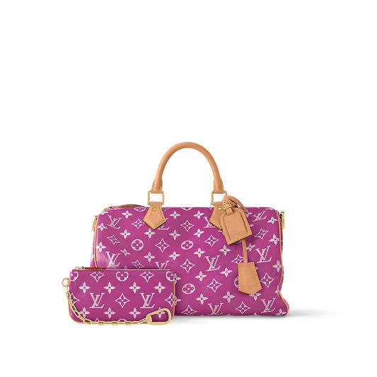 Speedy LV Bag