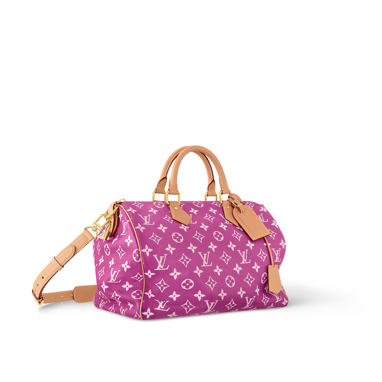 Speedy LV Bag